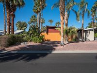 palm trees surrounding a house and street next to the driveway curb of a driveway in the desert