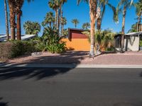 palm trees surrounding a house and street next to the driveway curb of a driveway in the desert