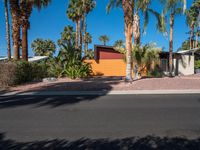 palm trees surrounding a house and street next to the driveway curb of a driveway in the desert