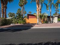 palm trees surrounding a house and street next to the driveway curb of a driveway in the desert