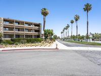 California Residential Modern Architecture with Palm Tree