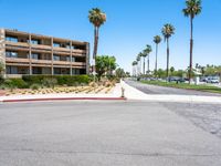 California Residential Modern Architecture with Palm Tree