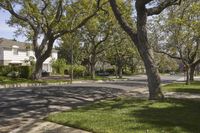 Residential neighborhood in Los Angeles, California, USA