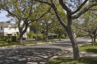 Residential neighborhood in Los Angeles, California, USA