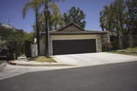 California Residential Neighborhood with Palm Trees