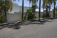 a white building has trees near the street and palm trees in front of it and a sign on the side of the building