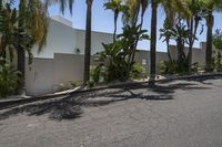 a white building has trees near the street and palm trees in front of it and a sign on the side of the building