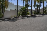 a white building has trees near the street and palm trees in front of it and a sign on the side of the building