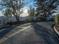 California Residential Road: A Day with Clear Skies