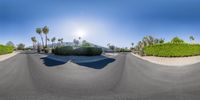 a 360 - vr lens is showing a road with many bushes and plants along it