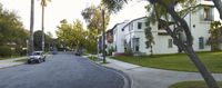 cars parked on a residential street with palm trees and homes along the curb, some of which are visible