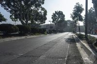 an empty street lined with lots of trees and bushes next to the curb of a residential street