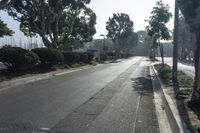an empty street lined with lots of trees and bushes next to the curb of a residential street