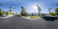 a wide view of the streets in palm trees in the background with a sun shining down on a road with cars