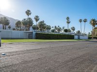 an empty parking lot with lots of palm trees and plants in it and many building to the left