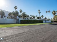 an empty parking lot with lots of palm trees and plants in it and many building to the left