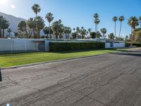 an empty parking lot with lots of palm trees and plants in it and many building to the left