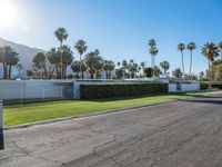 an empty parking lot with lots of palm trees and plants in it and many building to the left