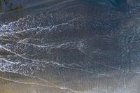 surfers stand on a beach with their boards in the ocean waves rolling towards the shore