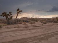 a desert with trees, rocks and dirt roads in the background and clouds in the sky