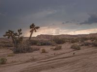 a desert with trees, rocks and dirt roads in the background and clouds in the sky