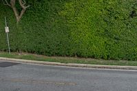 a man in a red shirt is on a bike in front of a hedge wall