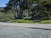 California Road: Asphalt Landscape on a Sunny Day