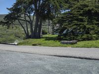 California Road: Asphalt Landscape on a Sunny Day