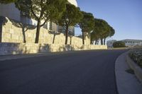 California Road: Asphalt, Light, and Shadow