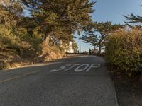 California Road: Low Angle View of the Asphalt