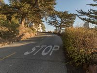 California Road: Low Angle View of the Asphalt