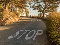 California Road: Low Angle View of the Asphalt