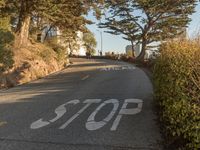 California Road: Low Angle View of the Asphalt