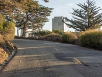 California Road: Low Angle View of the Asphalt