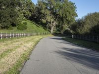 California Road: Asphalt Low Landscape