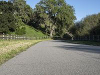 California Road: Asphalt & Low Landscape 002