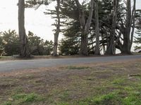 California Road: Asphalt Through a Residential Area
