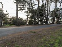 California Road: Asphalt Through a Residential Area