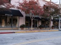 California Road with Classic Architecture