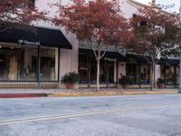 California Road with Classic Architecture