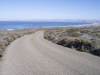 an empty paved road with shrubs on the shore in front of the ocean and an expanse of water