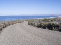 an empty paved road with shrubs on the shore in front of the ocean and an expanse of water