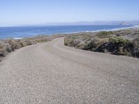 an empty paved road with shrubs on the shore in front of the ocean and an expanse of water