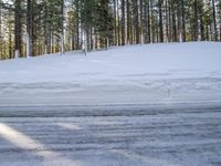 a skier stands at the edge of a slope where a snow bankers have plowed