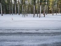 a skier stands at the edge of a slope where a snow bankers have plowed