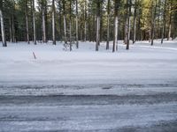 a skier stands at the edge of a slope where a snow bankers have plowed