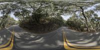 a 360 - view of an open road surrounded by trees in the middle of a forest