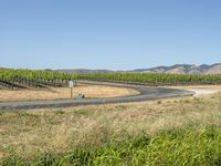 California Road Through Low Grass Landscape 001