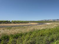 California Road Through Low Grass Landscape