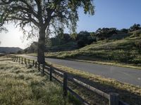 the road is surrounded by grassy hills and trees and the road has wooden fence, along with the tree lined dirt path